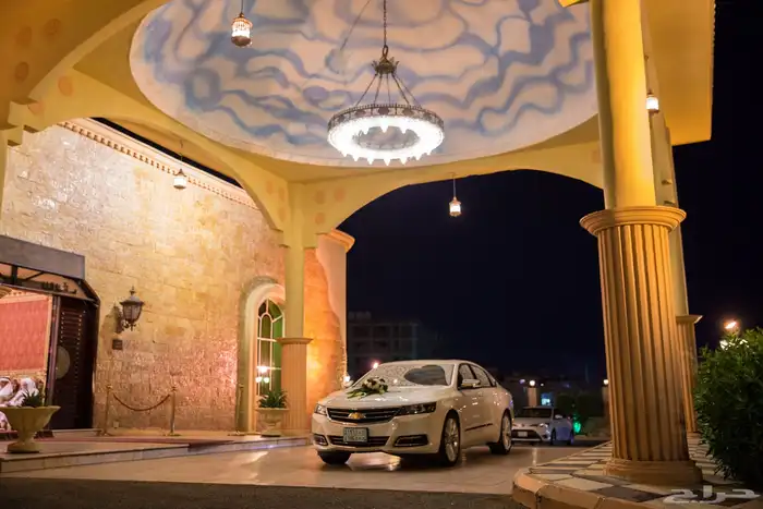 مصورين المدينة فيديو وفوتوغرافي 24