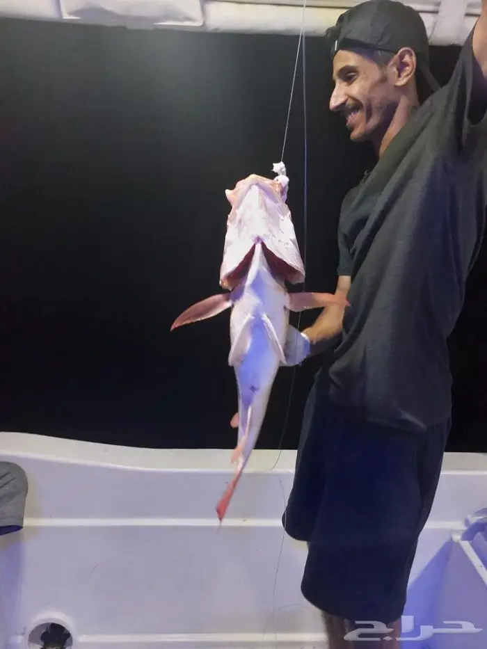 رحلات بحريه 7