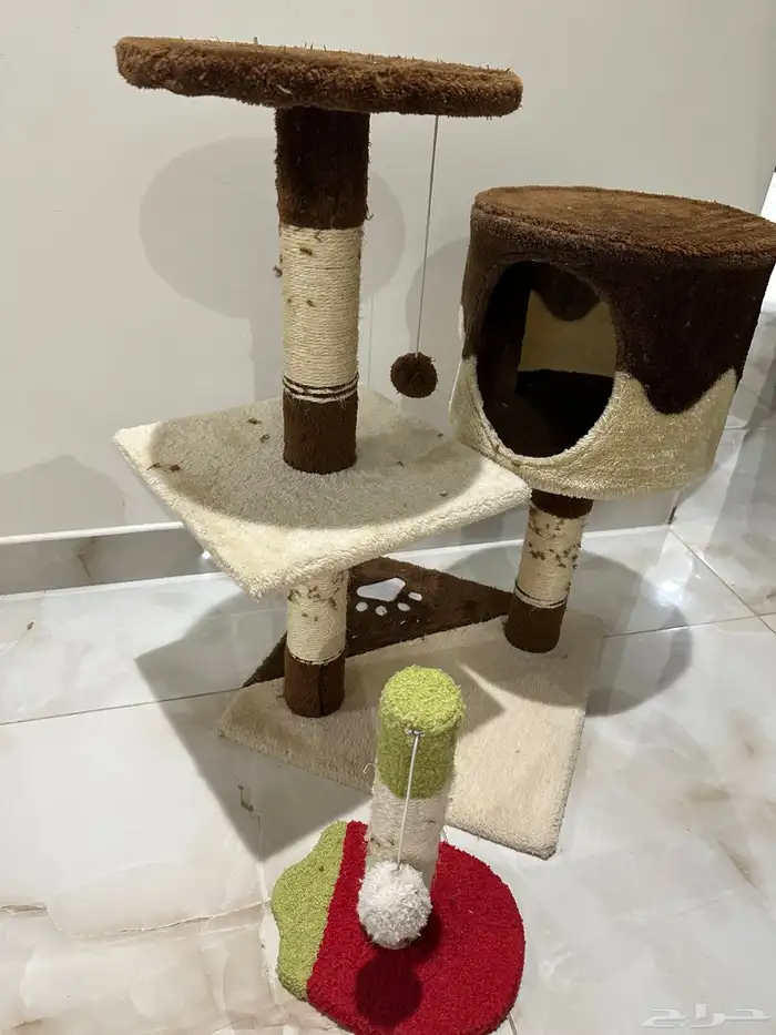 معدات قطة للبيع 10