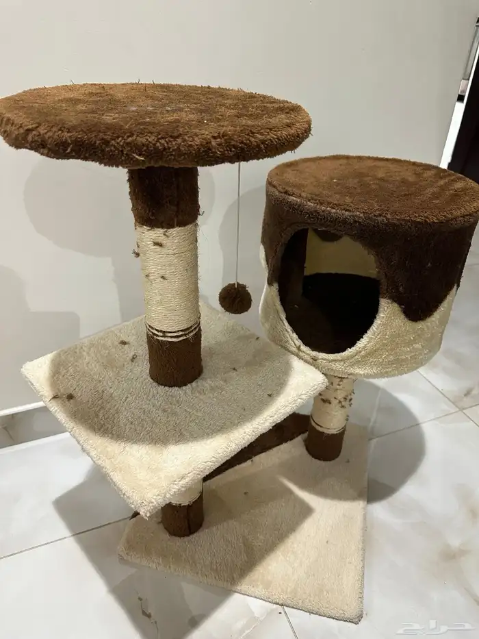 معدات قطة للبيع 9