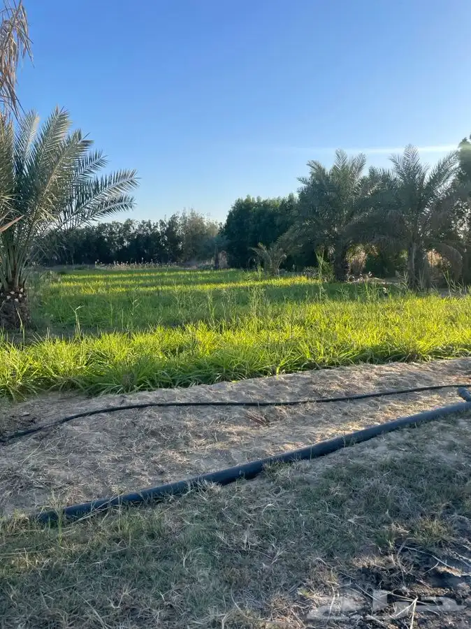 اراضي زراعيه للاستثمار عقود طويله مساحات مختلفه 1