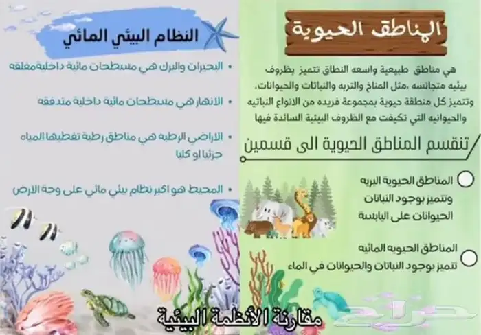 خدمات طلابية كتابه البحوث تقارير تصميم ورقة عمل او حلها 7