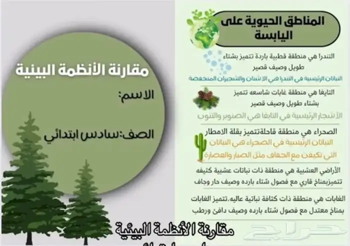 خدمات طلابية كتابه البحوث تقارير تصميم ورقة عمل او حلها 6