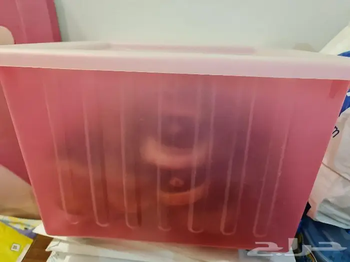 صندوق تخزين للبيع 4