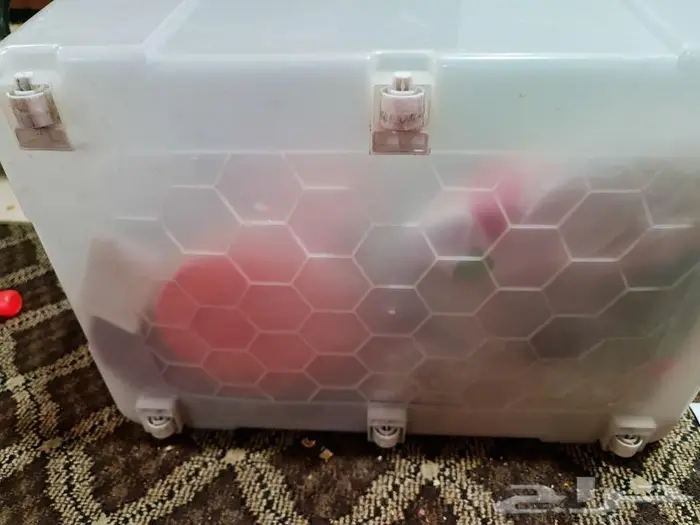 صندوق تخزين للبيع 6