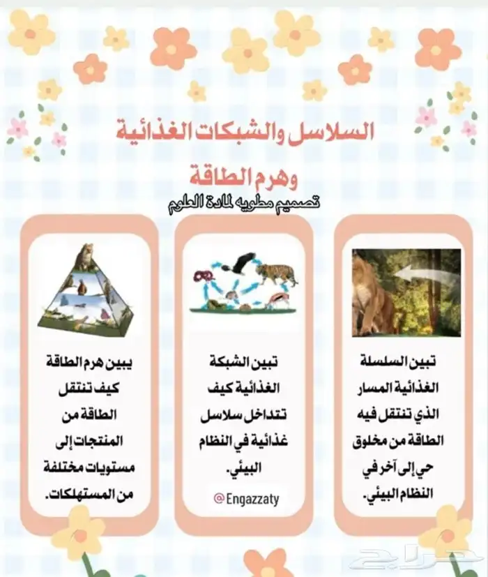 خدمات طلابية كتابه البحوث تقارير تصميم ورقة عمل او حلها 8
