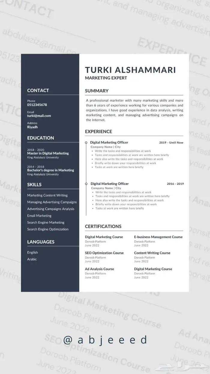 سيرة ذاتية مميزة CV ATS 3