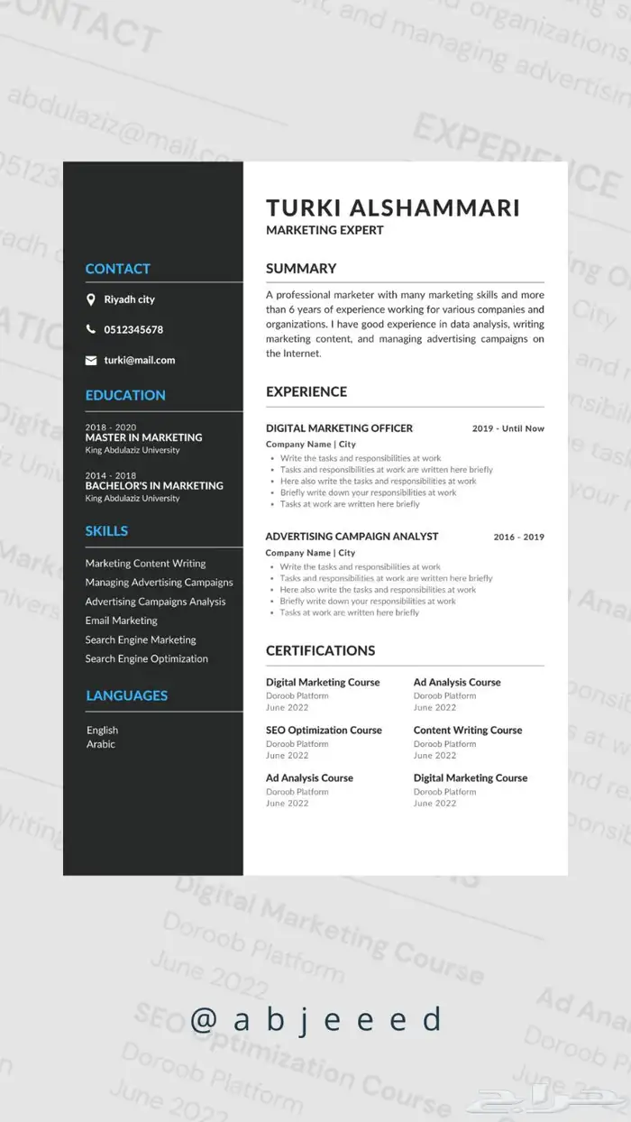سيرة ذاتية مميزة CV ATS 0