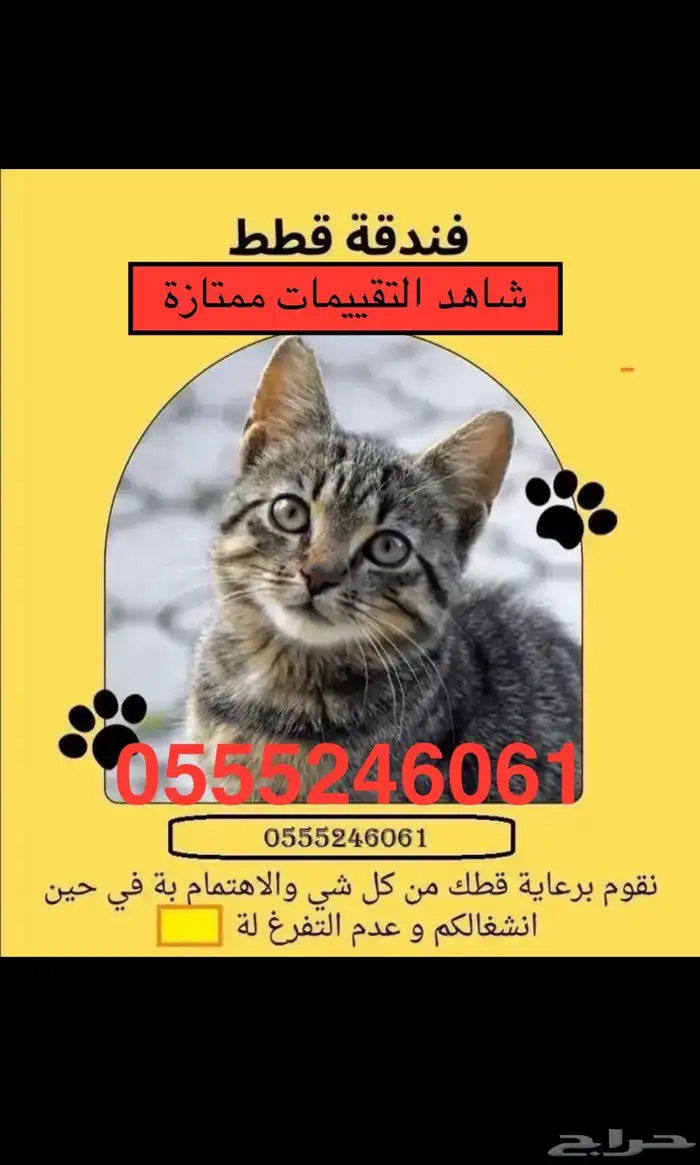 فندقة قطط بالرياض - شاهد التقييمات - وقت سفركم 0