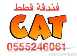 فندقة قطط بالرياض - شاهد التقييمات - وقت سفركم 1