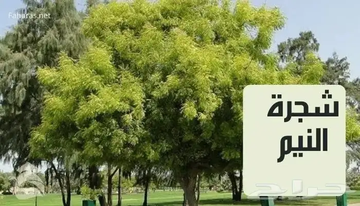 تنفيذ وتصميم مزارع و بيوت محميه 0