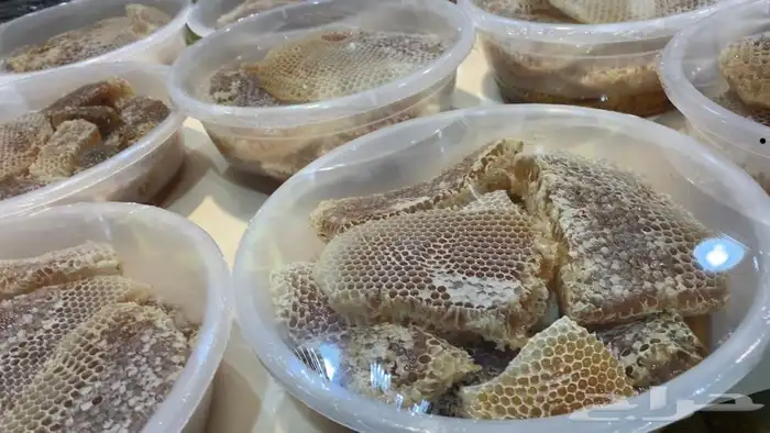 عسل بلدي من منحلي من سدر وسمر وطلحه قتاده وغيرها ذمه وامانه 4