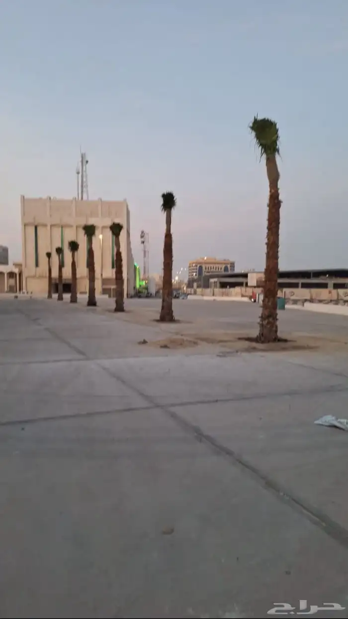 تنفيذ حدائق و توريد نخيل و اشجار 2