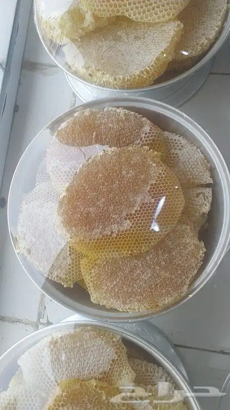 عسل سدر جبلي ذمه وأمانه 12
