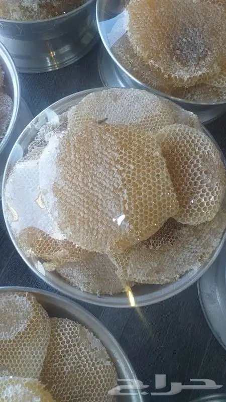 عسل سدر جبلي ذمه وأمانه 11