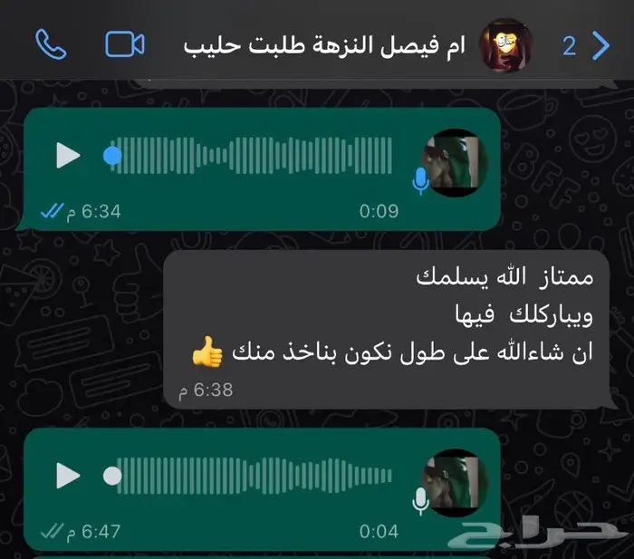 حليب ابل خلفات نياق طازج يوميا بجدة ويوجد خدمة توصيل 15