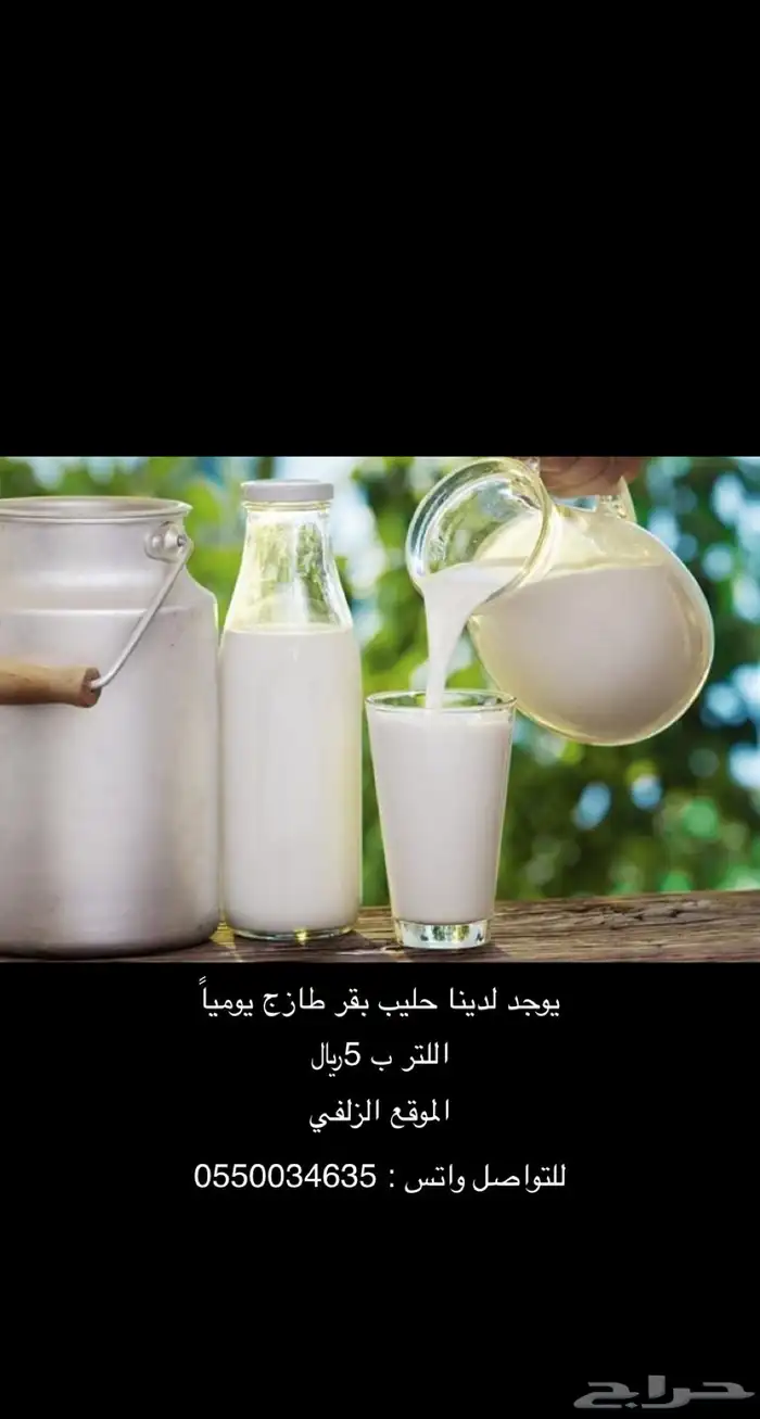 يتوفر لدينا حليب ابقار يومي ا بالزلفي 1