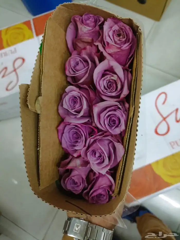 ورد طبيعي صالح للاكل ورد جمله 10