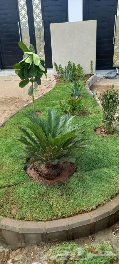 ثيل نجيله 14