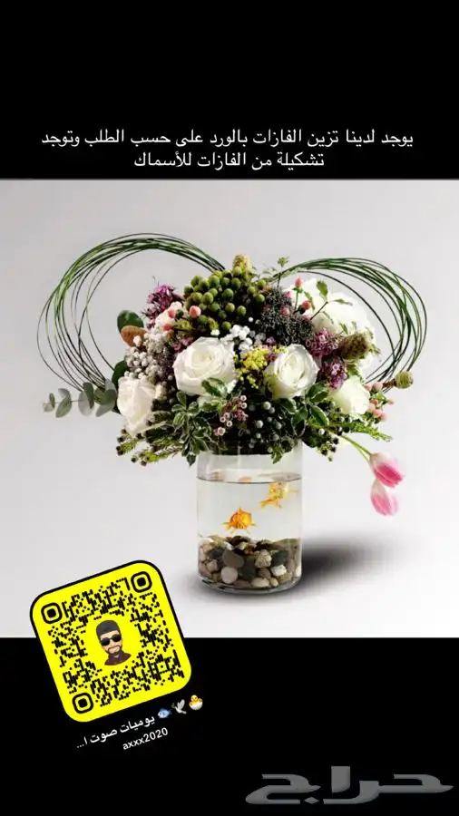 طيور كروان روز 28
