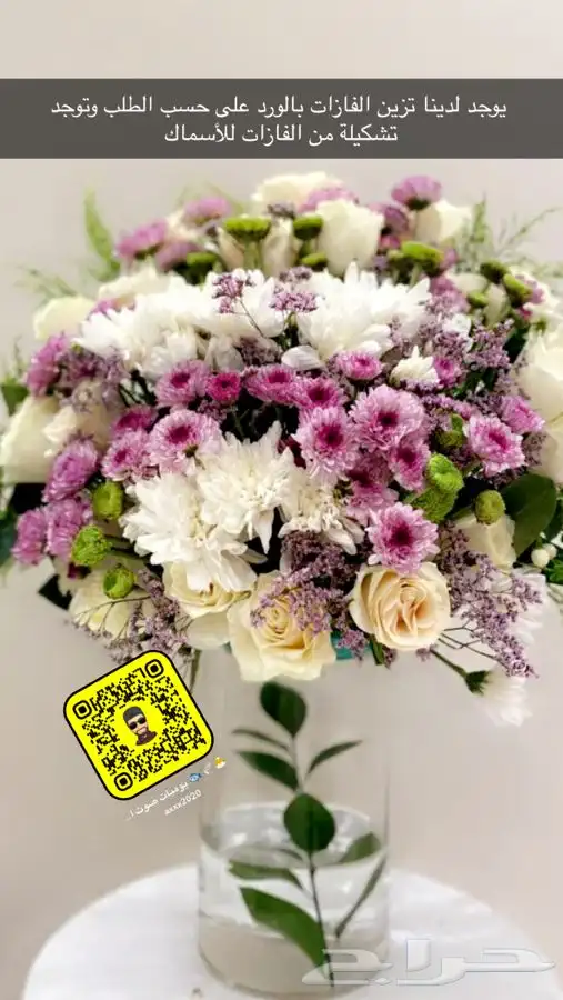 طيور كروان روز 25