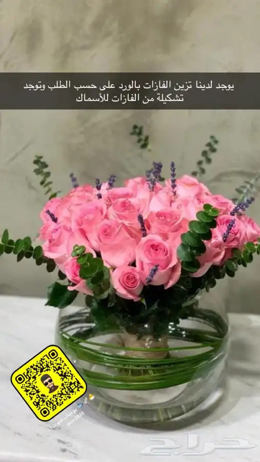 طيور كروان روز 23