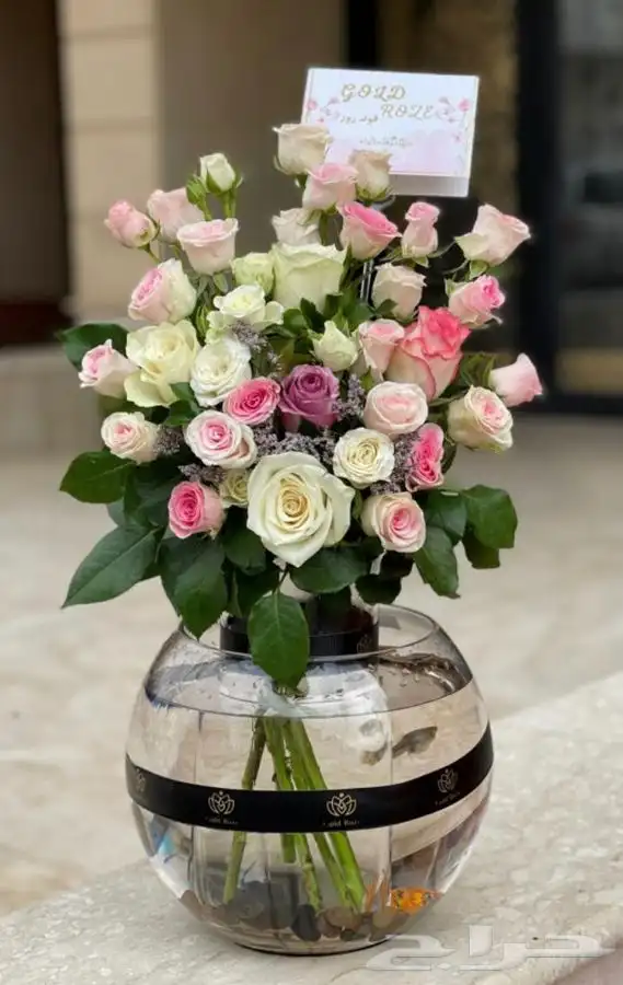طيور كروان روز 26