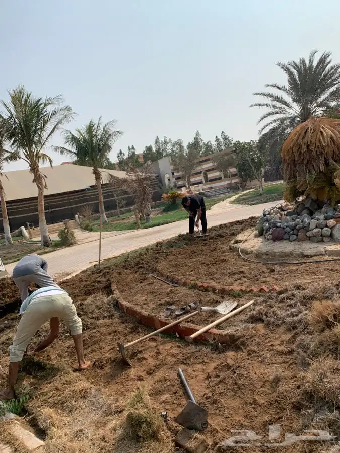 ثيل نجيله 6