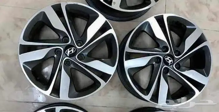 جنوط النتراء من مويل2015الى2022 4