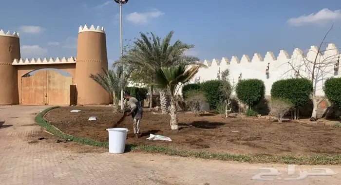 ثيل نجيله 7