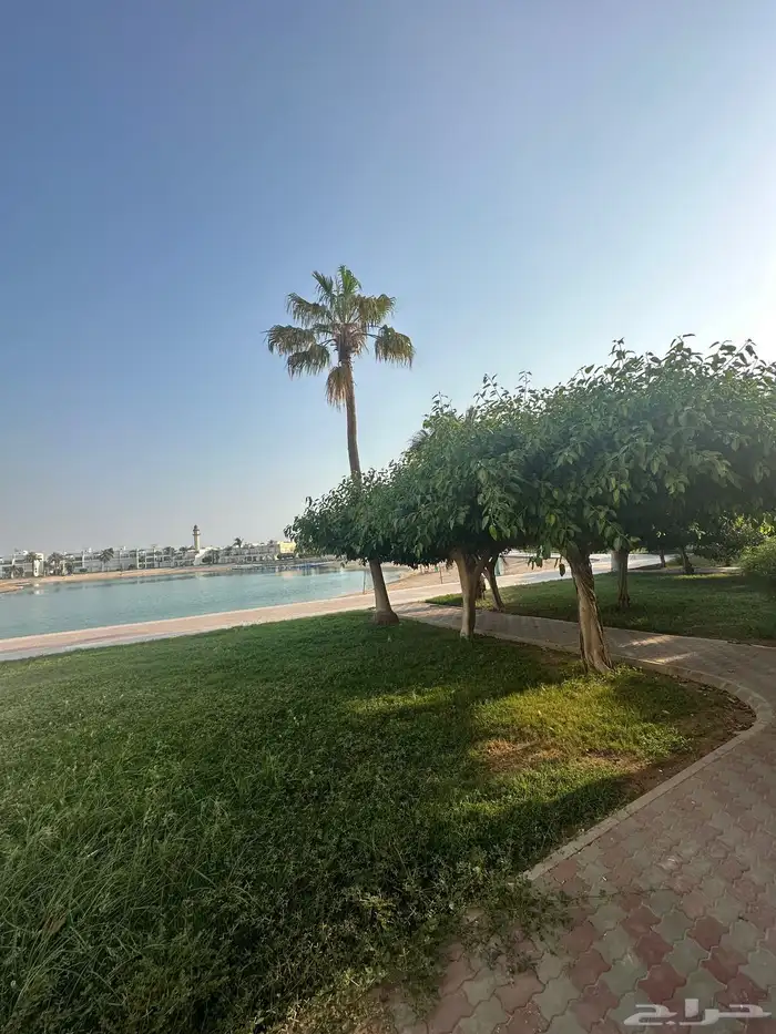 شاليه منتجع درة العروس على البحر مباشرة 15