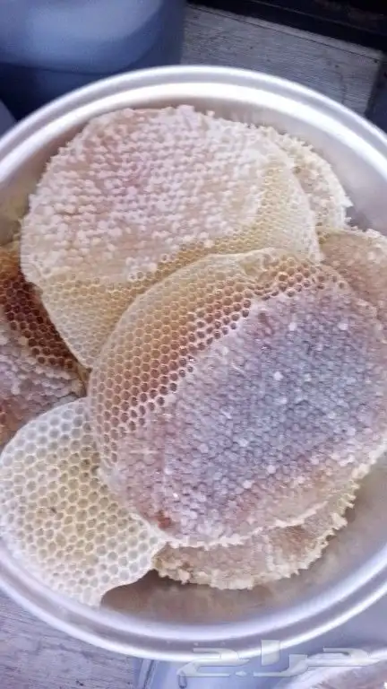 عسل السدر الجبلي ذمه وأمانه 10