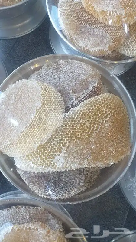 عسل السدر الجبلي ذمه وأمانه 11