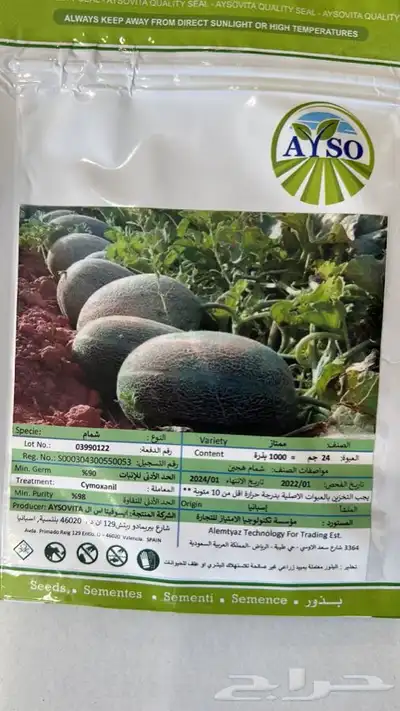 بذور شمام منقاوي وكناري 2