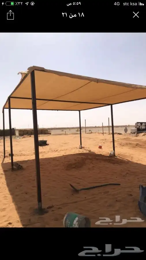 شبوك. ابل. مضلات ابل 2
