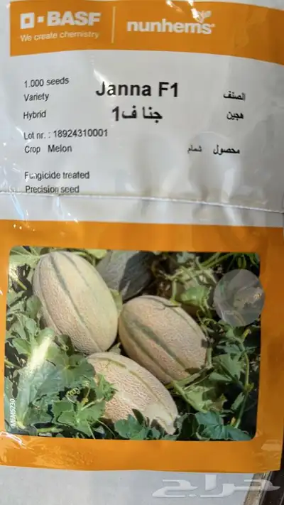 بذور شمام منقاوي وكناري 0