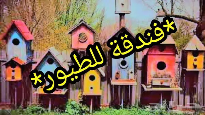فندقة للطيور 0