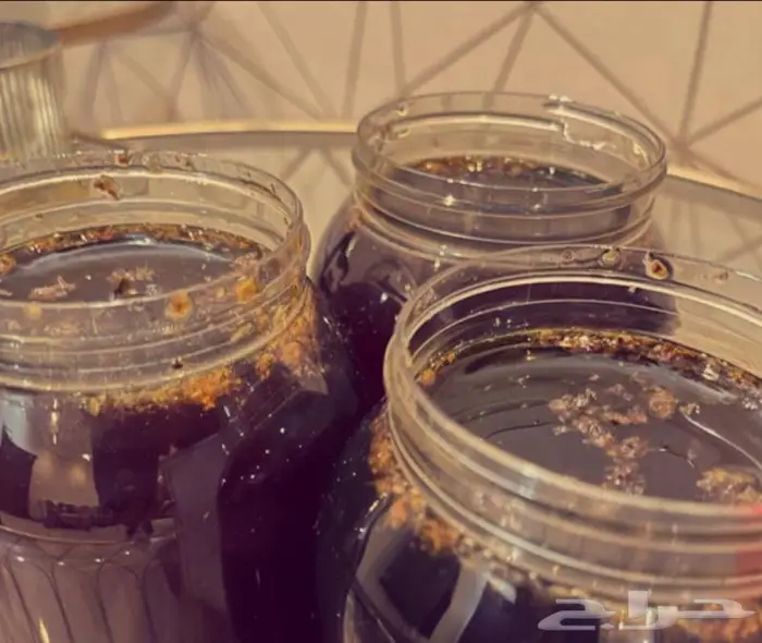 عسل سدر بلدي مضمون الشرط موقعي جدة السامر 0