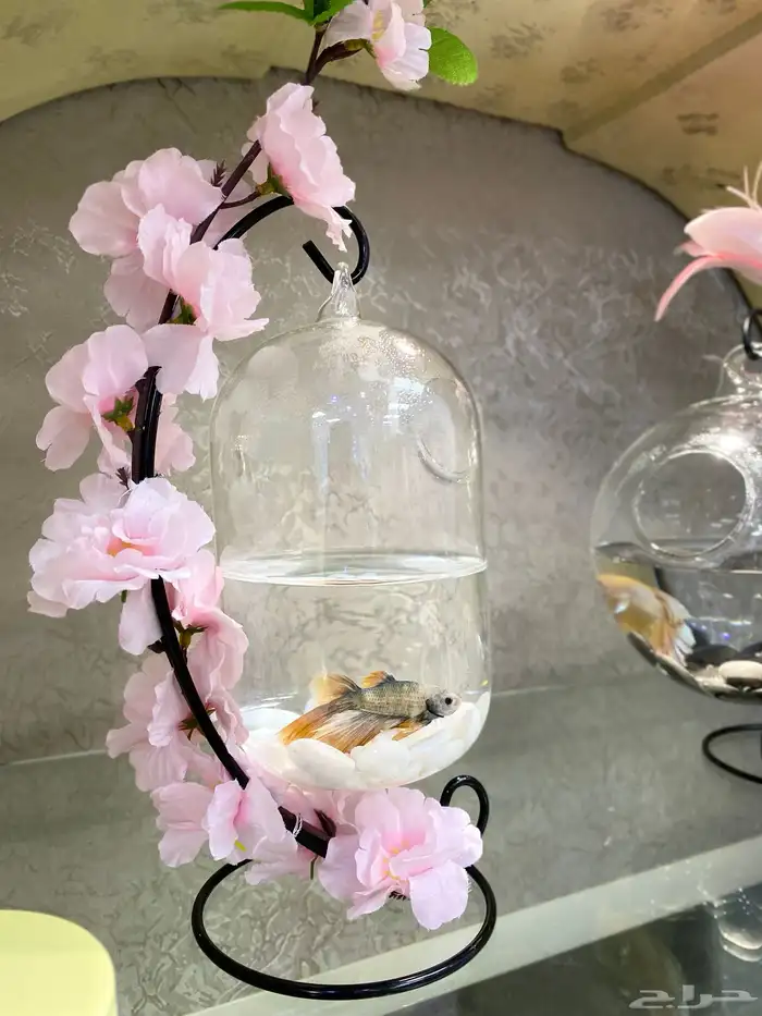 تنسيق هدايا - طيور الحب - شياله قطط - فازه مع سمك 2