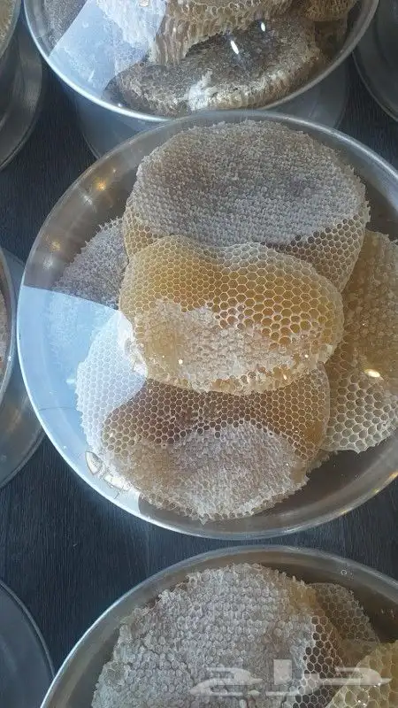 عسل سدر جبلي ذمه وأمانه 13