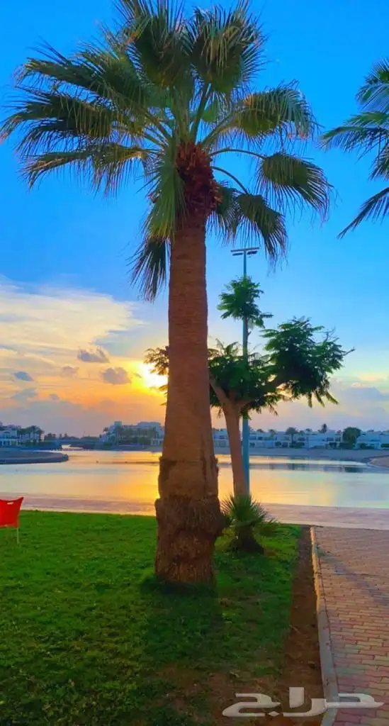شاليه منتجع درة العروس على البحر مباشرة 6