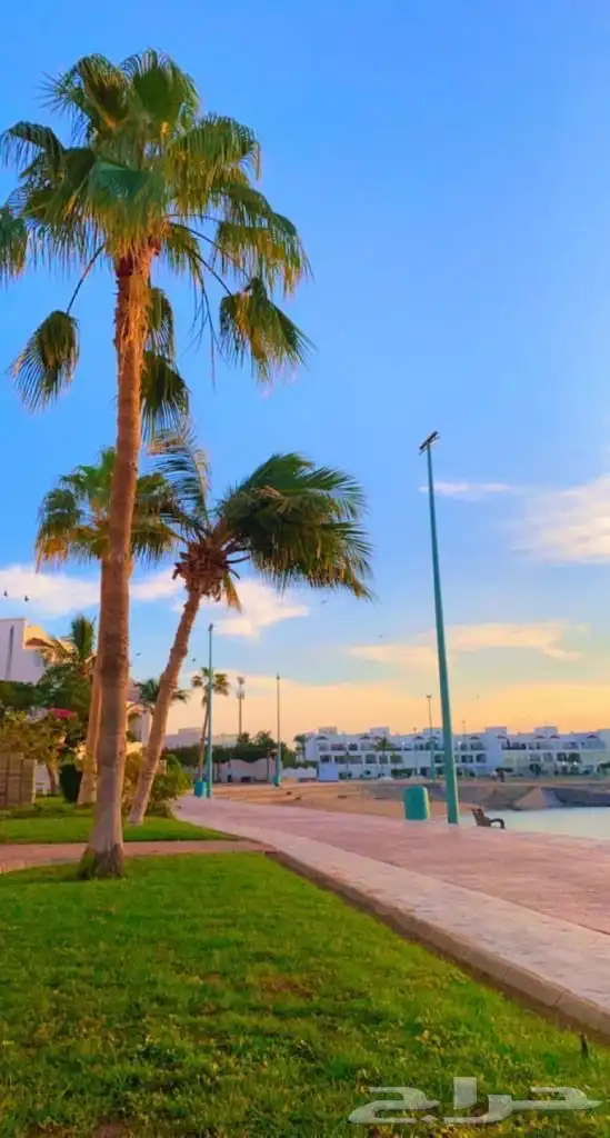 شاليه منتجع درة العروس على البحر مباشرة 3
