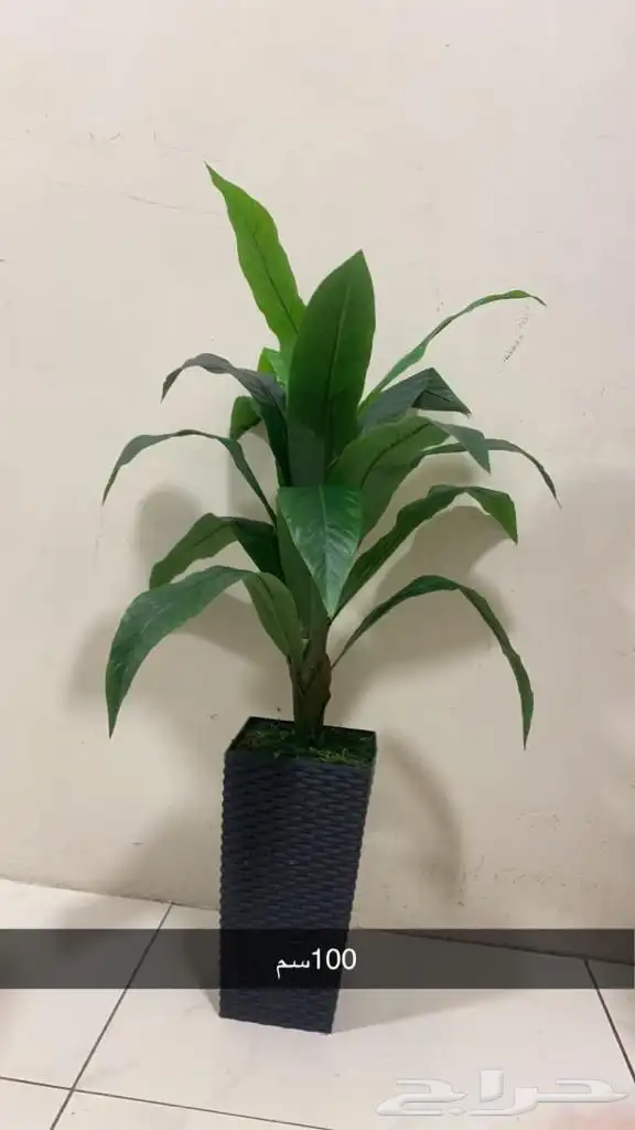 زرع صناعي ومراكن للكافيهات والمطاعم 17