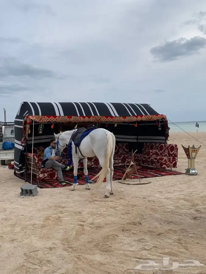 خيمة يوم التاسيس 1