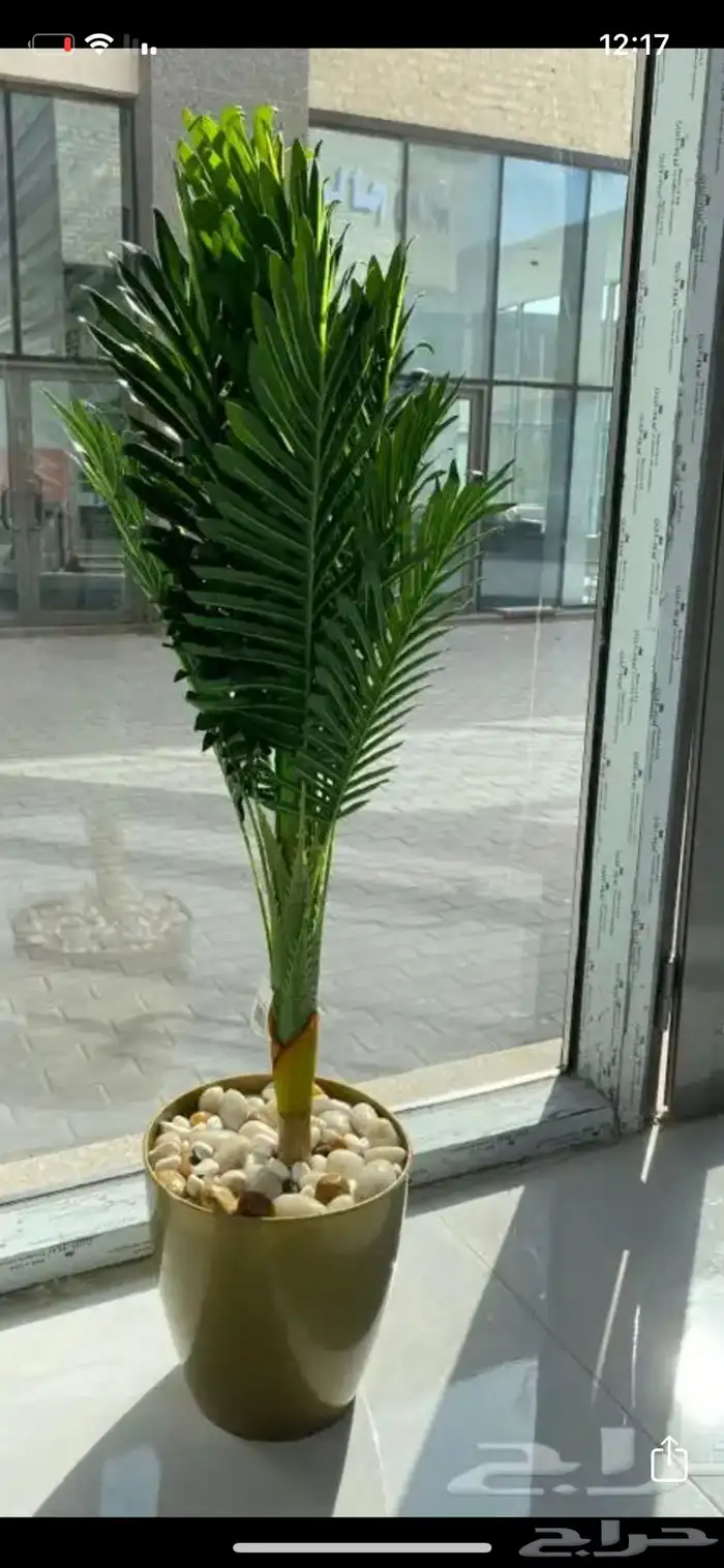 زرع صناعي ومراكن للكافيهات والمطاعم 2