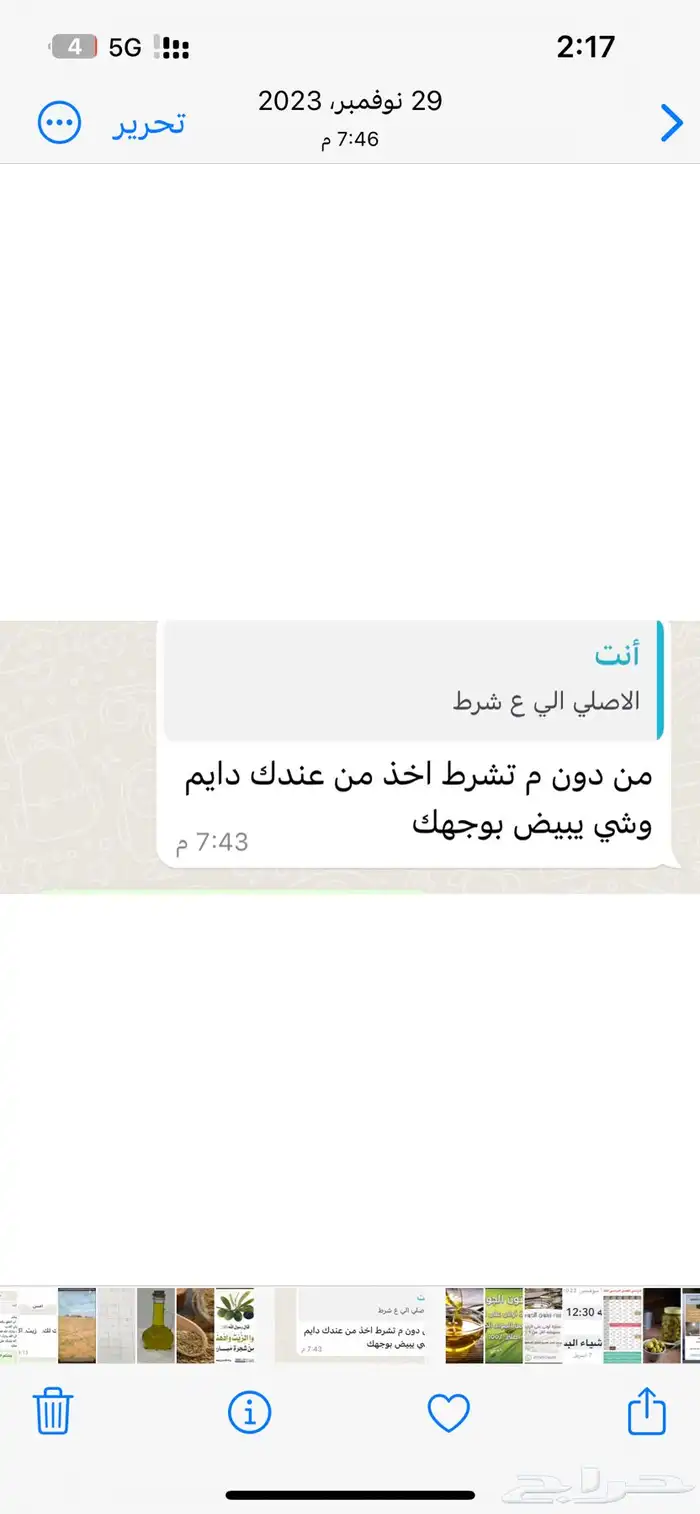 زيت زيتون الجوف 1445 3