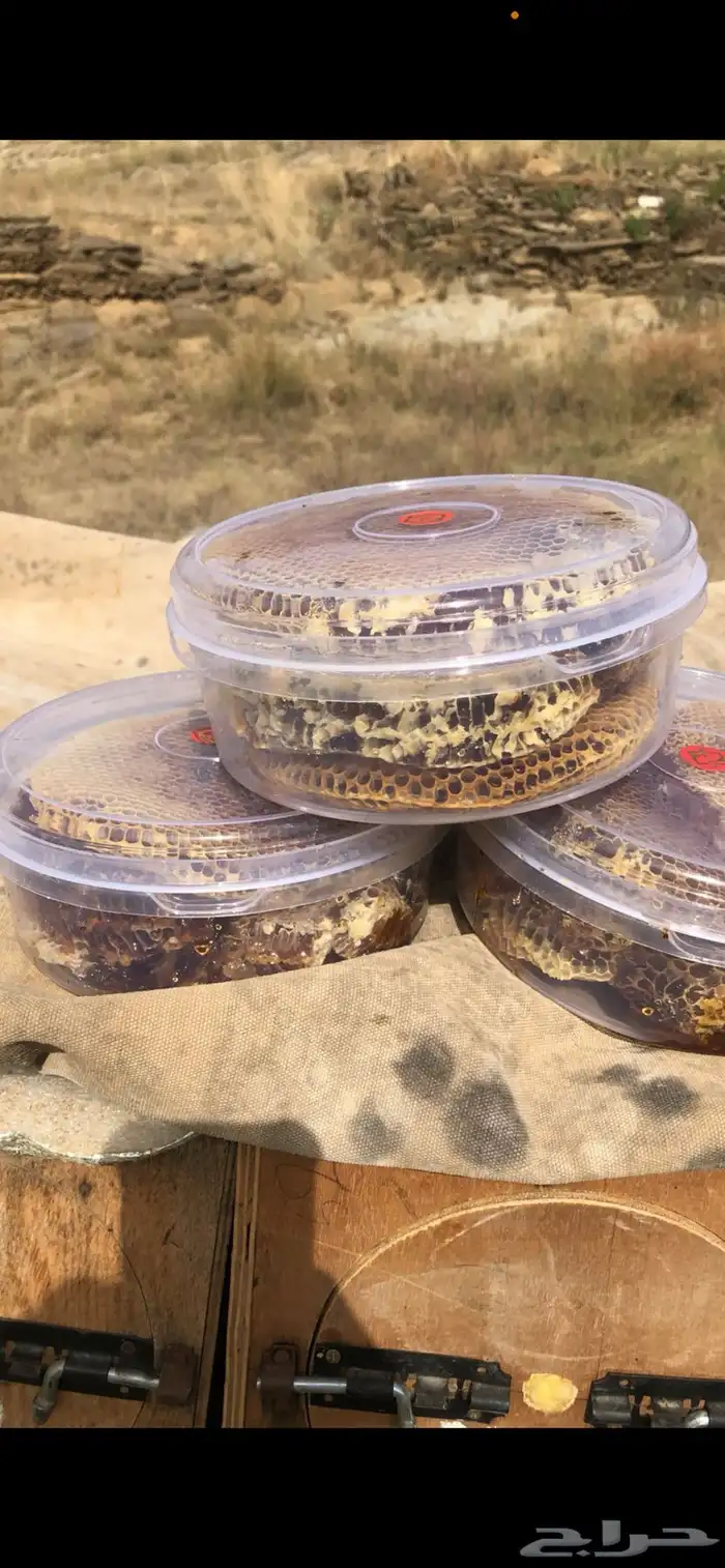 عسل طبيعي من جبال الباحة 4