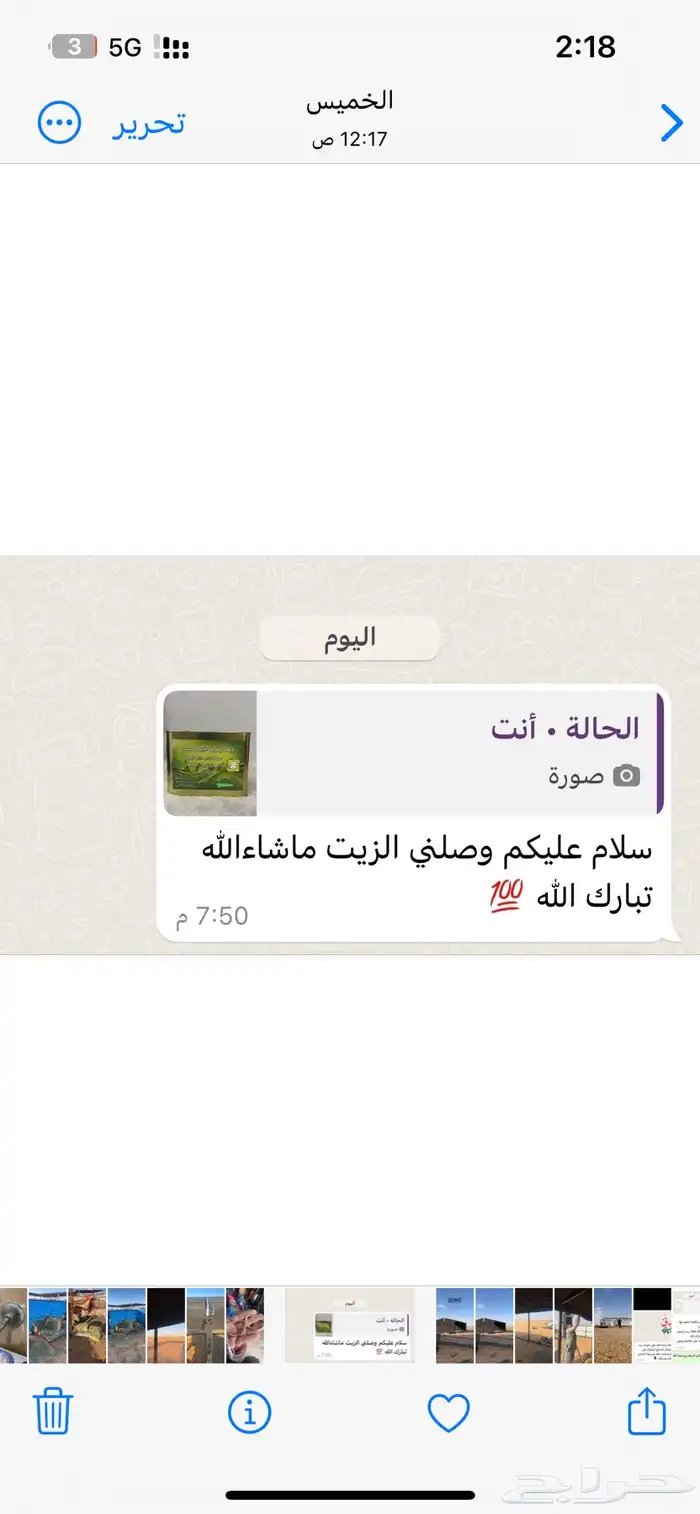 زيت زيتون الجوف 1445 6
