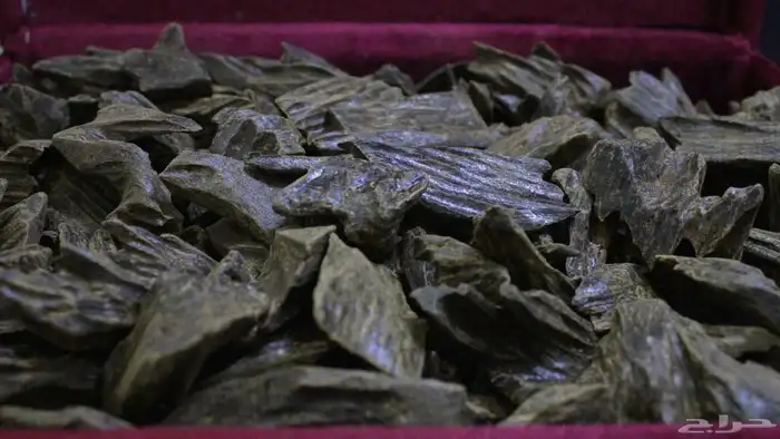 عود الشيوخ (مروكي و كلمنتان) 3