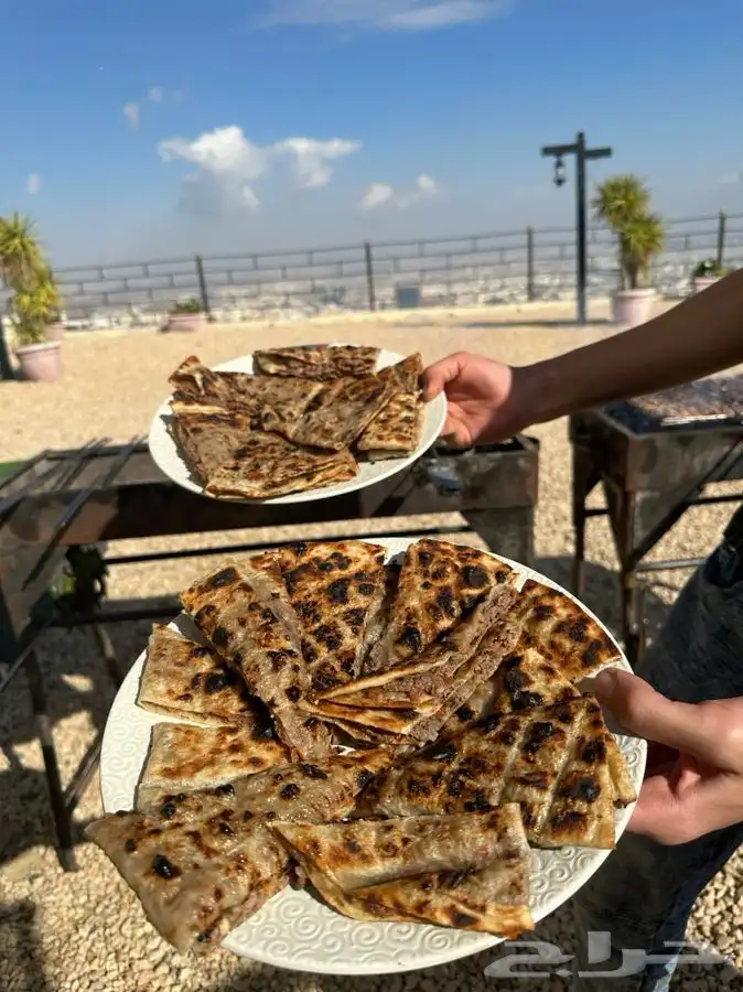مشاوي خارجية 6